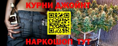 амф Можга